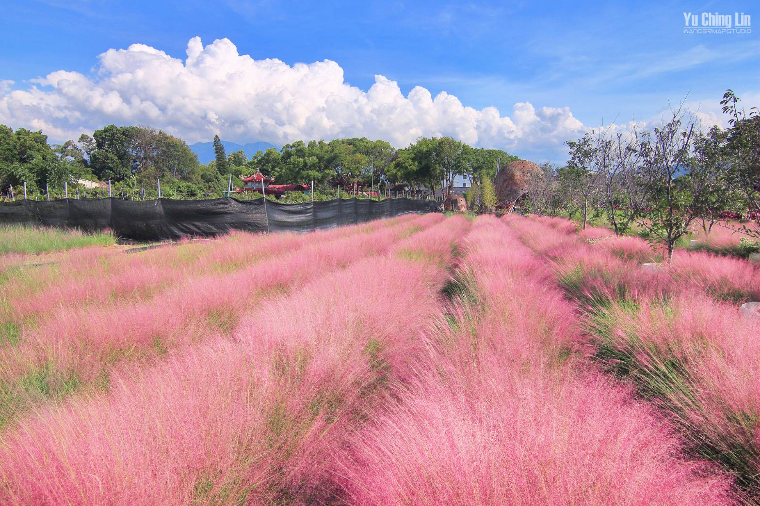 粉芒園_1